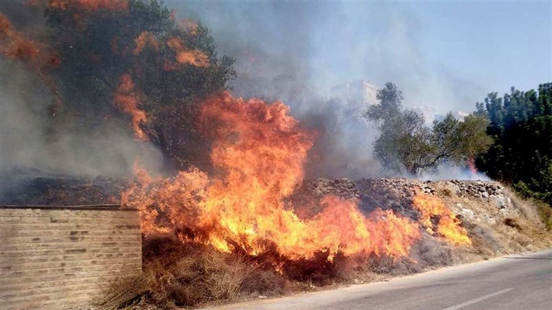 أرشيفية