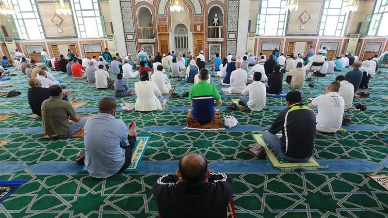 أرشيفية