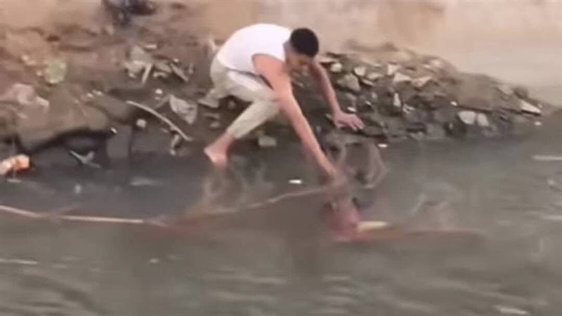 لحظة انتشال الجثة 