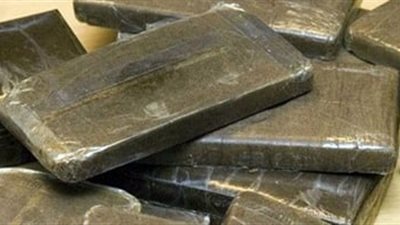 ضبط عنصرين شديدي الخطورة بحوزتهما 50 فرش حشيش في مركز المحلة