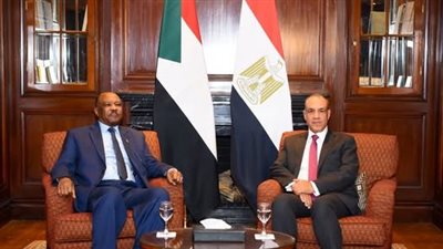 وزير الخارجية يبحث مع نظيره السودانى الأوضاع في مدينة الفاشر