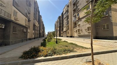 مدينة القاهرة الجديدة تواصل تطوير ورفع كفاءة الخدمات للمواطنين