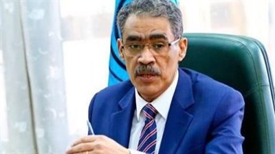 ضياء رشوان: مصر تواصل دورها الريادي في أفريقيا رغم التطورات بالمنطقة