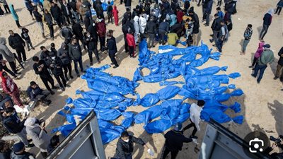 مصرع 3 أطفال بينهم شقيقان في حادث تصادم بمركز أسيوط 