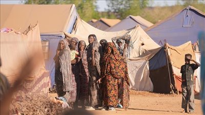 «الهجرة الدولية»: نزوح أكثر من 62 ألف شخص من الفاشر خلال 4 أيام
