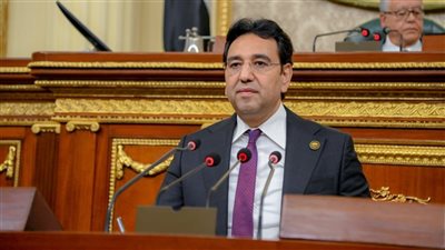 «محسب»: التحرك لتوحيد الصف الفلسطيني يعكس دورنا المحوري لحماية الأمن القومي العربي