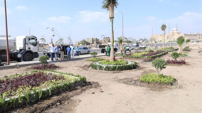 جانب من عملية التشجير