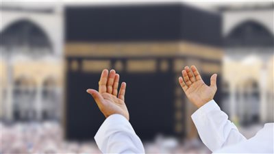 «السياحة» تُلزم شركات الحج بسرعة إنهاء عقود السكن لموسم حج 1447هـ