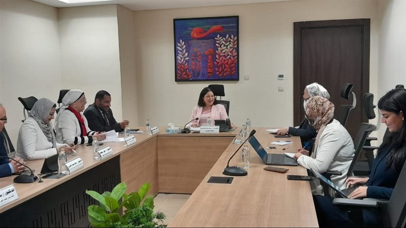 نائبة وزيرة التضامن الاجتماعي تلتقي مساعد وزير الصحة والسكان
