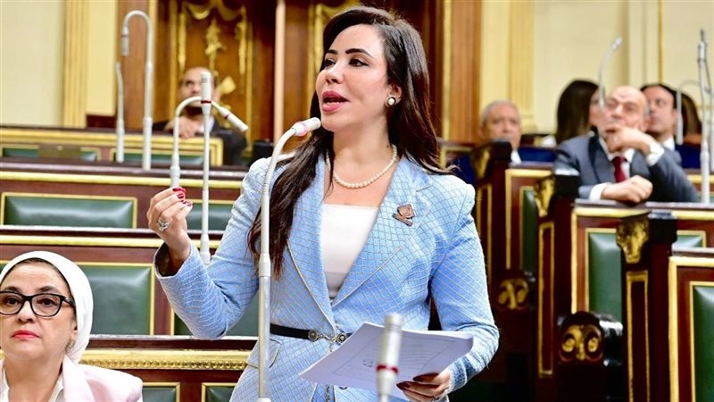  النائبة غادة على، عضو مجلس النواب عن تنسيقية شباب الأحزاب
