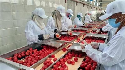 إسنا تشهد ميلاد مشروع غذائي يعيد الحياة للتصنيع الزراعي بالصعيد