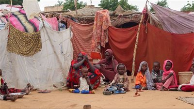 الأمم المتحدة تعلن أول حالة مجاعة في مدينتي الفاشر وكادوقلي بالسودان 