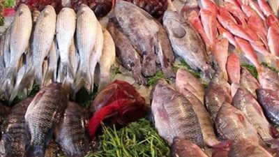 البلطي بـ62 جنيه..أسعار الأسماك اليوم الاثنين 18-12-2023 بالأسواق