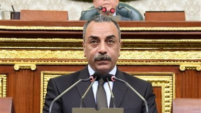 «تشريعية النواب»: شكرا شعب مصر العظيم صنعتم ملحمة لدعم مصر
