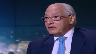 علي الدين هلال: المواطن المصري اختار الاستقرار رغم الأزمات الاقتصادية