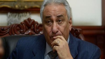 عضو بالشيوخ: الفترة المقبلة ستشهد دمج أحزاب سياسية