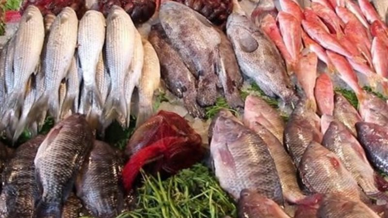 أسعار الأسماك