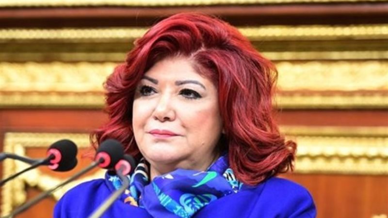 النائبة نورا علي
