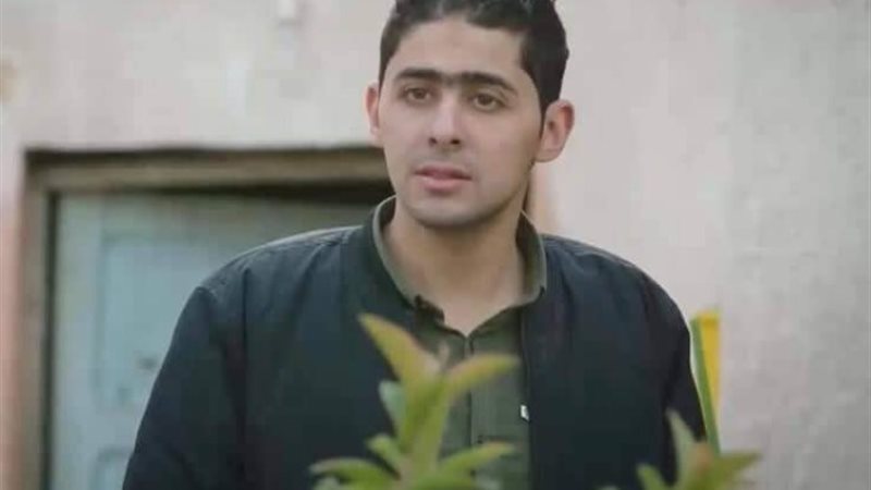 الفنان محمود الشرقاوي