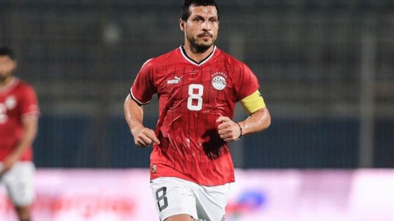 طارق حامد