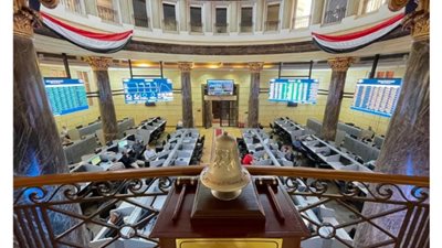 محلل اقتصادي: الطروحات الحكومية قُبلة حياة الاقتصاد المصري