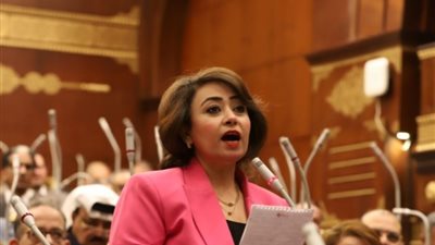 «حقوق الإنسان» بالشيوخ: مصر لن تسمح بتصفية القضية الفلسطينية