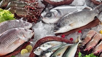 تبدأ من 40 جنيه.. أسعار الأسماك اليوم السبت 23-12-2023