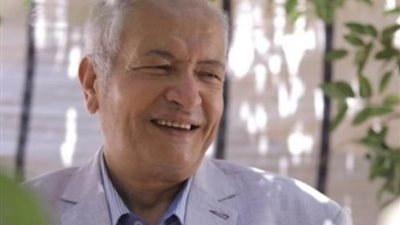 علاء طاحون: المنطقة الصناعية بساحل قناة السويس تضاعف دخل القناة لـ200%