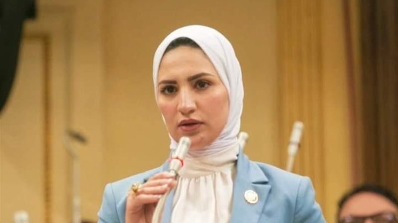 النائبة نشوى رائف