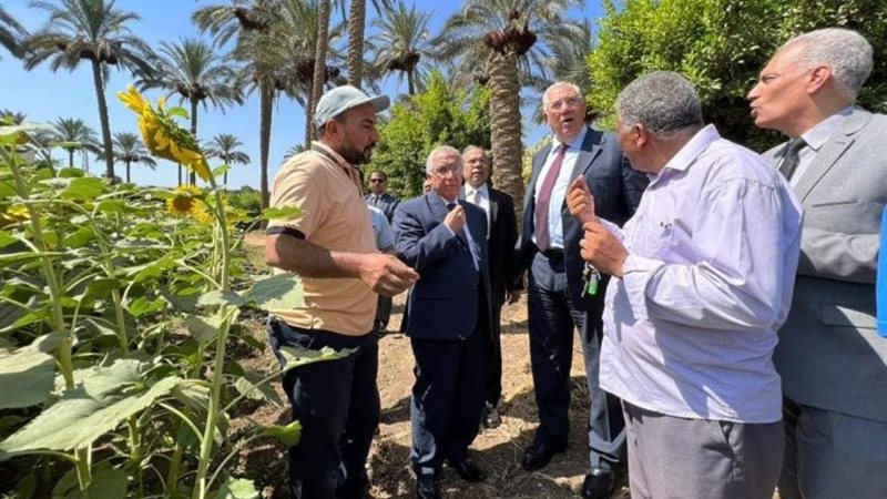 الزراعة