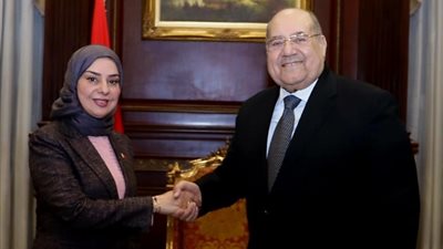 رئيس مجلس الشيوخ يلتقى سفيرة البحرين بالقاهرة