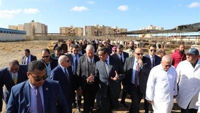 آمنة والقصير والغضبان يتفقدون عدة مشروعات ويفتتحون مصنع إنتاج الأعلاف ببورسعيد