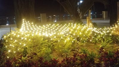أشجار الكريسماس تضيء شوارع الأقصر