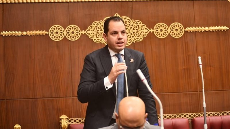 النائب أحمد فوزي