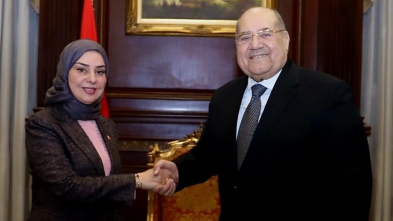 رئيس مجلس الشيوخ وسفيرة البحرين بالقاهرة