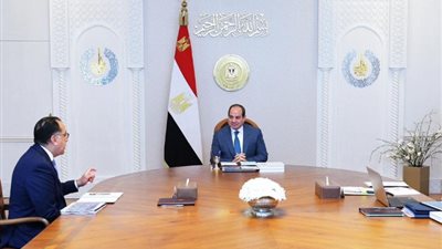 الرئيس السيسي يتابع محفزات مشاركة القطاع الخاص في التنمية الشاملة بمصر
