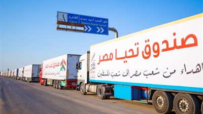 آخرهم مقترح وقف العدوان.. كيف دعمت مصر قطاع غزة على مدار 3 شهور؟
