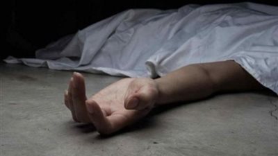 القصة الكاملة لاعتداء سائق الجيزة على شقيقه وإنهاء حياته في كفر طهرمس