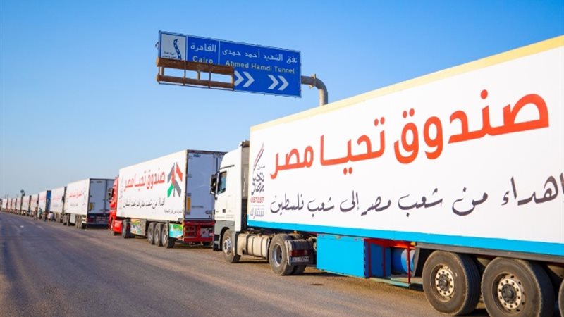 المساعدات المصرية