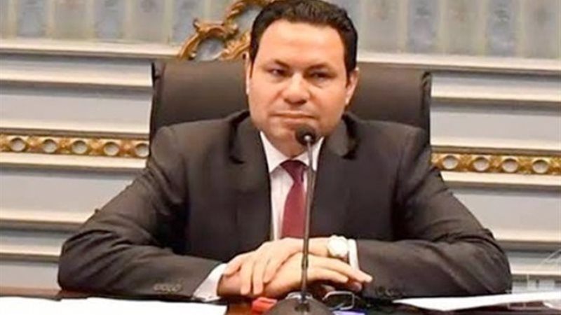 النائب هشام الحصري