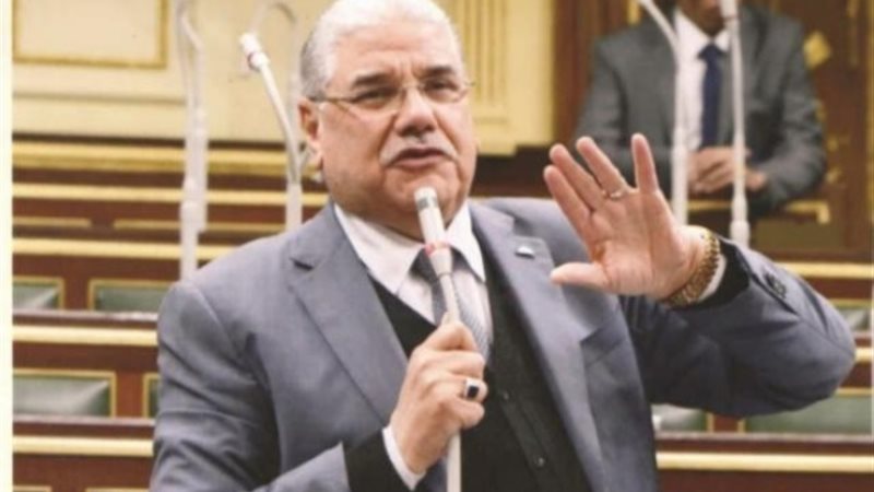 النائب محمود الصعيدي