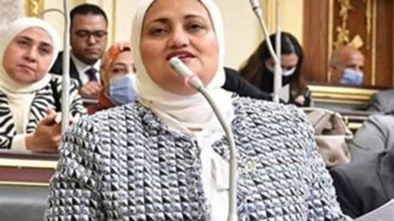 النائبة سناء السعيد