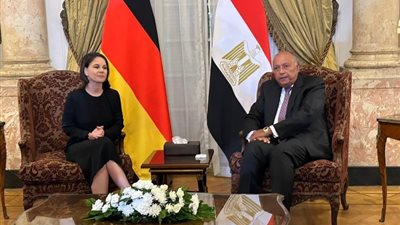 وزير الخارجية يشدد على ضرورة وقف إطلاق النار في غزة