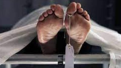 القبض على شاب قتل جدته ذبحا فى الدقهلية.. والأهالي: مريض نفسي