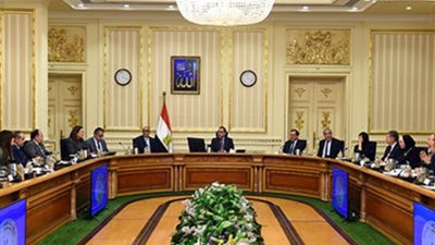حملة ضد اللاجئين السوريين، الحكومة: هذه الحملات لا تمثل المصريين