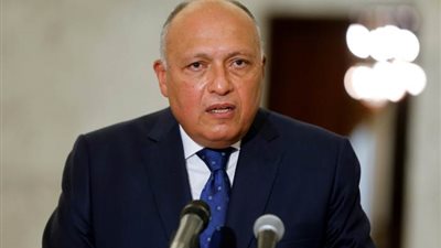برسالة من الرئيس السيسي، سامح شكري يتوجه إلى إريتريا
