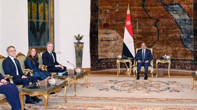 الرئيس السيسي وبلينكن يؤكدان رفض تهجير الفلسطينيين والتمسك بحل الدولتين