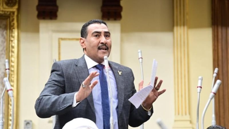 النائب محمد الجبلاوي