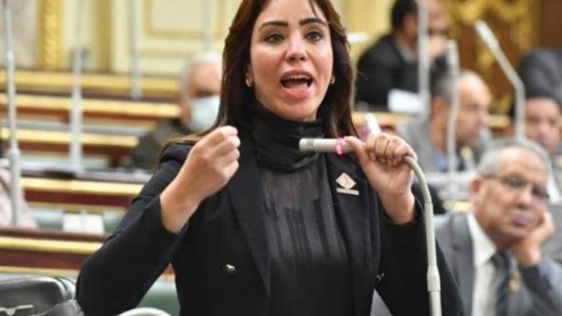 غادة علي عضو اقتصادية النواب