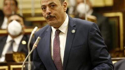 برلماني: برلمان مصر ضد الفساد وحريص على تطبيق الدستور وإعلاء سيادة القانون